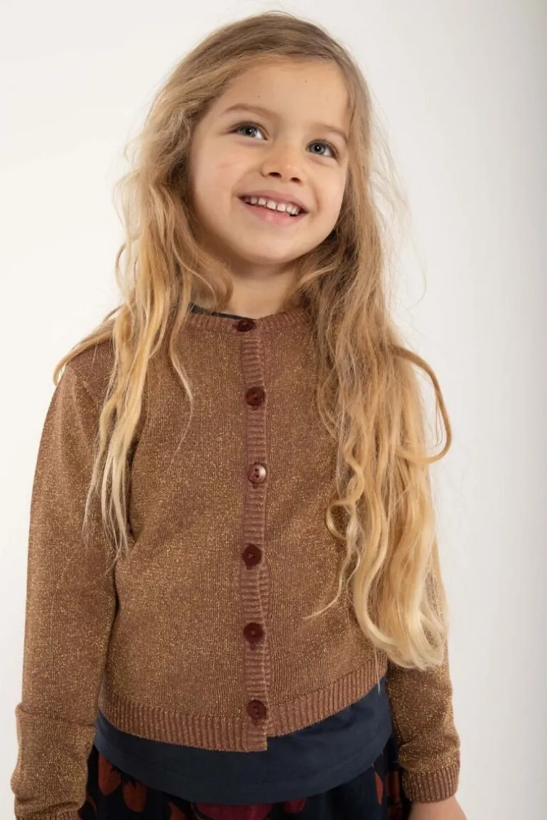 Danefæ Danemerle Cardigan Beige Rose w. Gold Glitter | Børn Strik