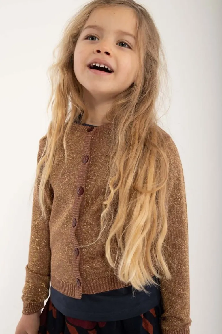 Danefæ Danemerle Cardigan Beige Rose w. Gold Glitter | Børn Strik