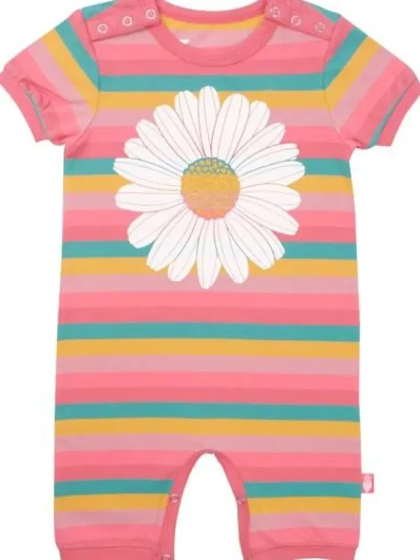 Danefæ Danemistral Suit Miami DAISY | Heldragter