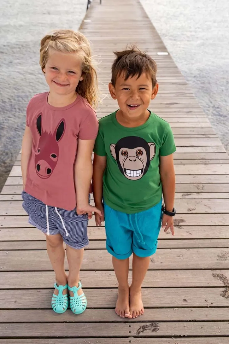 Danefæ Dyrwildlife T Vintage rose AESEL | T-shirts