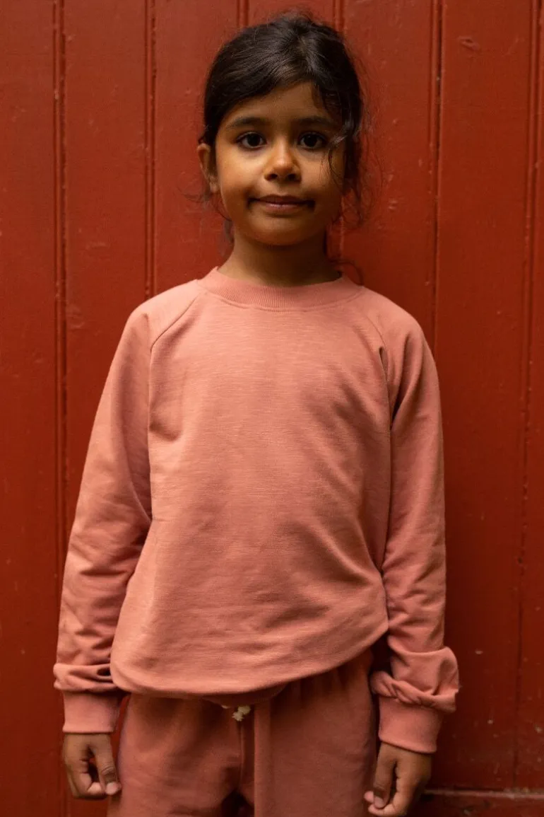 Danefæ ESS - ORGANIC Danemineral Sweater Grey Rose | Børn Sweatshirts