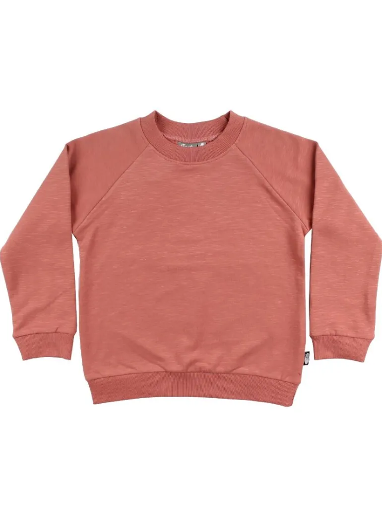 Danefæ ESS - ORGANIC Danemineral Sweater Grey Rose | Børn Sweatshirts