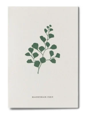 Danefæ Kartotek Kort-A6 | Kort Og Notesbøger