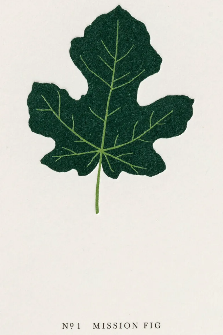 Danefæ Kartotek Kort-A6 Mission Fig | Kort Og Notesbøger