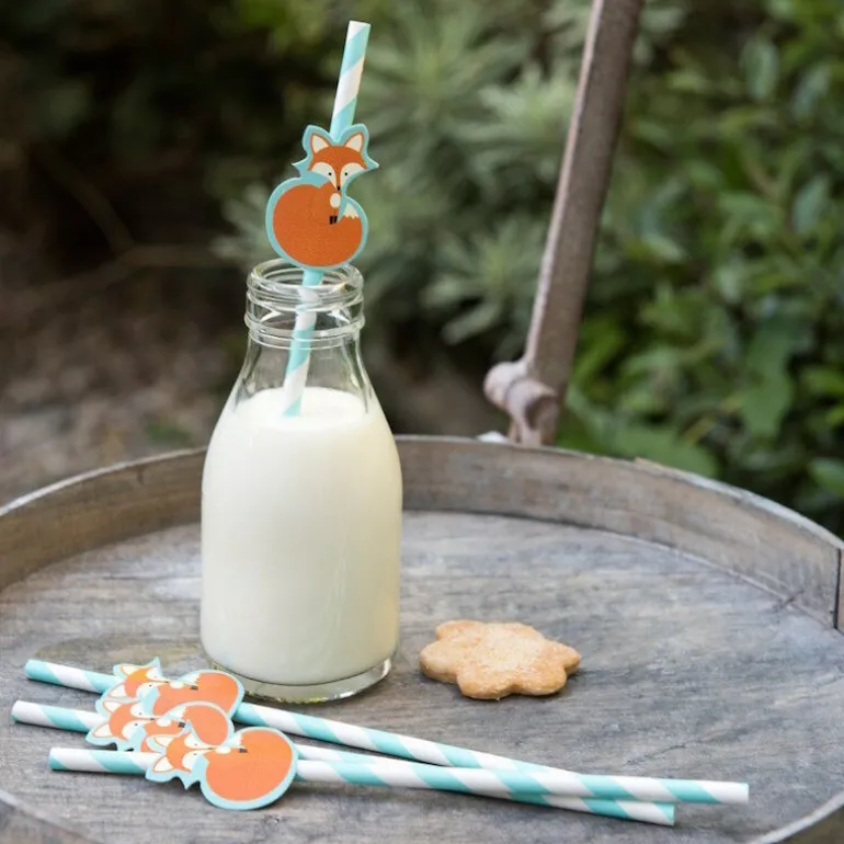 Danefæ RL Paper Straw (Pack of 4) Rusty the fox | Festudstyr